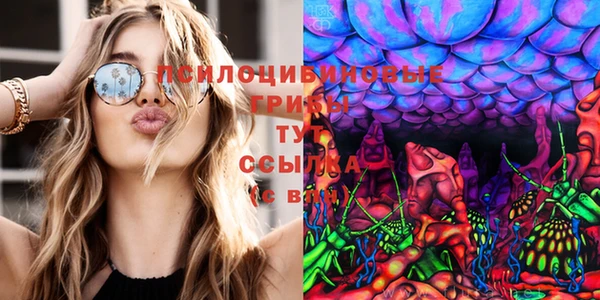 спиды Аркадак