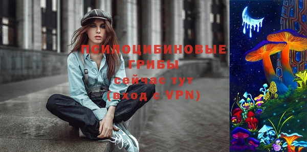 спиды Аркадак