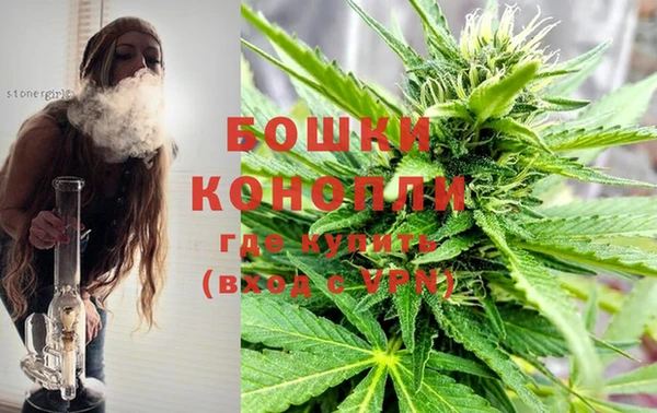 спиды Аркадак