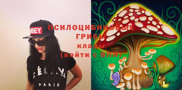 метадон Арсеньев