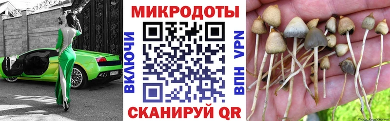 дарнет шоп  Николаевск  Галлюциногенные грибы Cubensis 